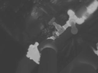 steam line b&w